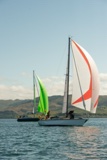 windthrift 9602y whyw22 sun 800_2218yi